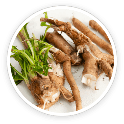 Pawbiotix Ingredients 