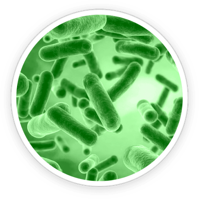 Pawbiotix Ingredients 